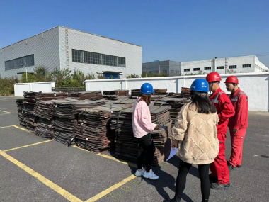 663c2e8f8164e.png image.png