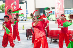 66b33825c8074.png image.png